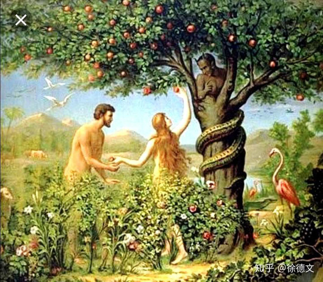 Adam vs Eva